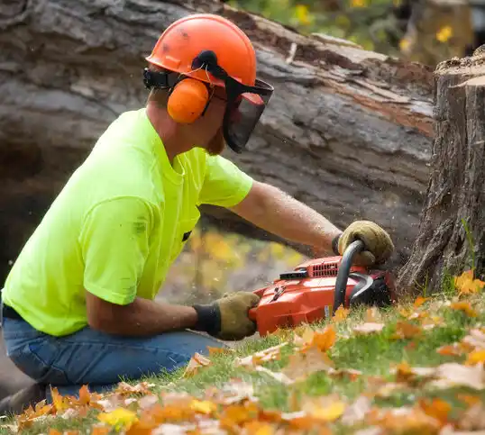 tree services London